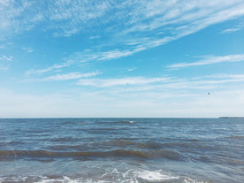 大海 浪花 海边 海浪 海水
