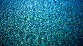 大海 浪花 海边 海浪 海水