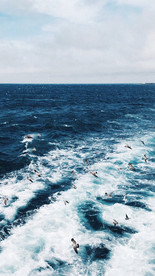 大海 浪花 海边 海浪 海水