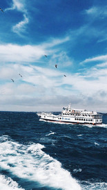 大海 浪花 海边 海浪 海水