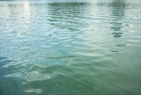 清水