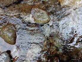 小溪水