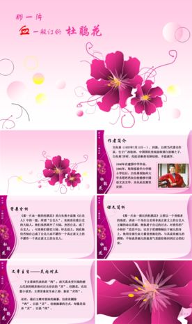 通用PPT 大气PPT 商务P