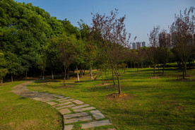 袁山公园