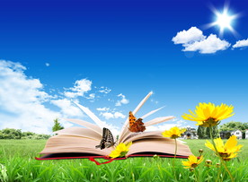 蓝天 草地 书本 花