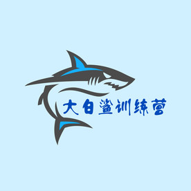 大白鲨训练营