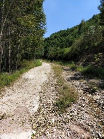 荒废的土路