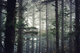 西岭雪山