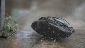 雨中的石头