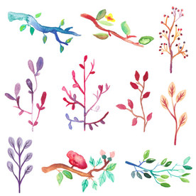 水彩树枝叶子