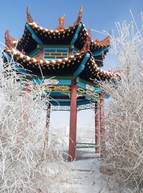 树挂