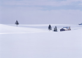 雪原