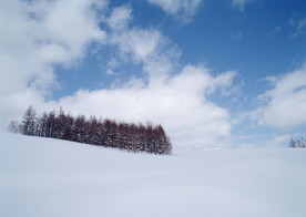 白雪皑皑