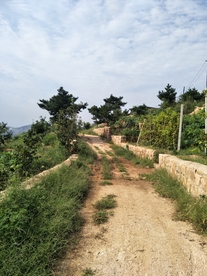 乡村小路
