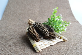 羊肚菌
