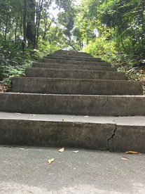 成功的阶梯