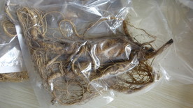 云南满泽鲜人参