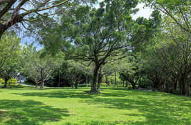 深圳莲花山公园