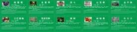 名树简介