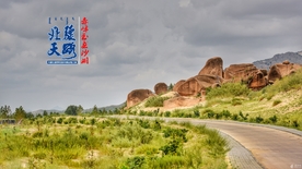 沙漠 骆驼 旅游 观光 蓝天