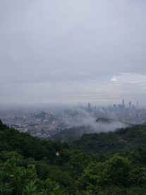 一望无际