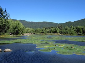 植物园风景