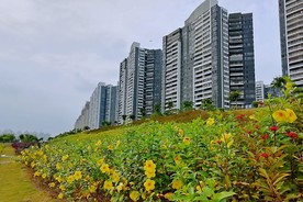 惠州风光