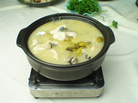 鮰鱼