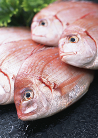 新鲜鱼虾贝蟹类水生物