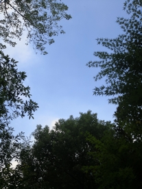 仰望天空