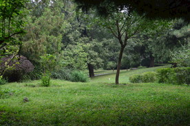 香山风景
