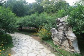 香山风景