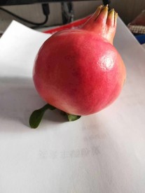 唯美红石榴