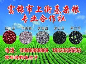专业合作社