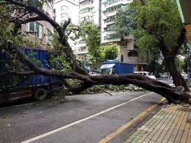 广州台风