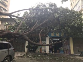 台风过后