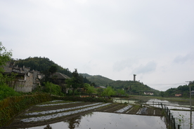 田园风景