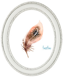 手绘唯美水彩羽毛插画