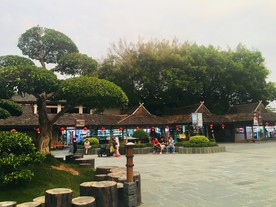 树下亭