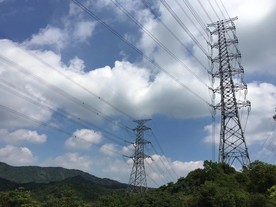 电线杆
