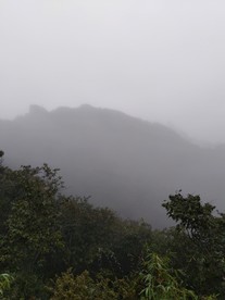 深山里的风景