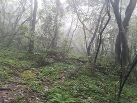 深山里的风景