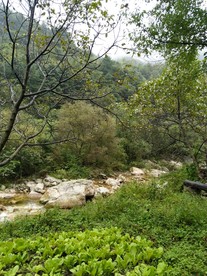 深山里的风景