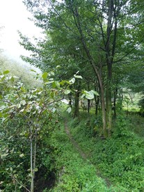 深山里的风景
