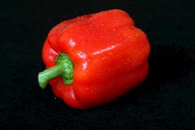 菜椒