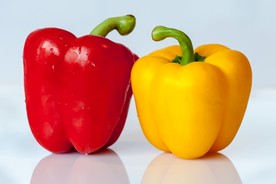 菜椒