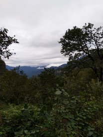 美丽的大山风光