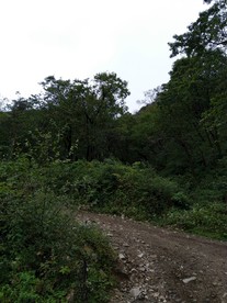 日暮下的大山风景