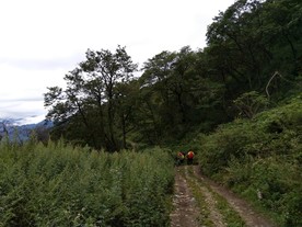 美丽的大山风光