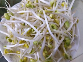 豆芽菜